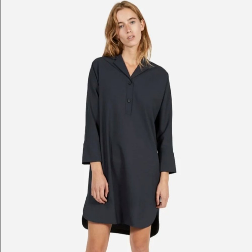 Everlane Artist Smock Dress (black)